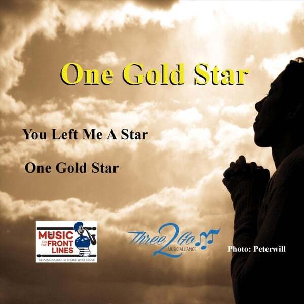 Cover art for One Gold Star